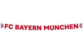 bayern muenchen banner 