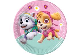 sky paw patrol teller 