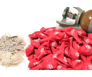 ballonflug set just married 150 1 