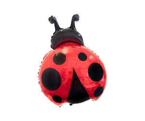 Glueckskaefer Ballon