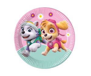 sky paw patrol teller 