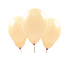 miniballons lachs soft 1 